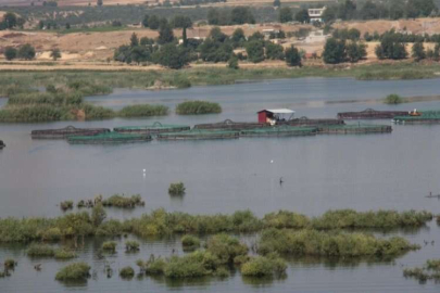 Karkamış sulak alanı turizme açılıyor