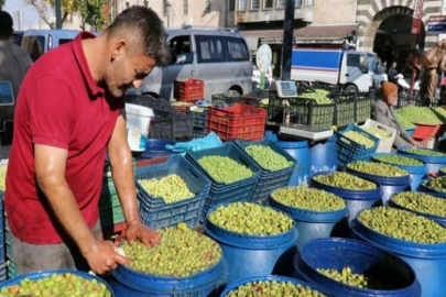 Yağışlar zeytin fiyatlarını artırdı