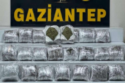 Gaziantep’te 24 kilo skunk ele geçirildi