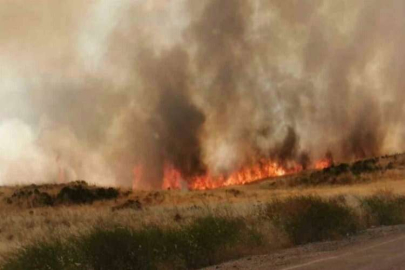 Buğday tarlası küle döndü