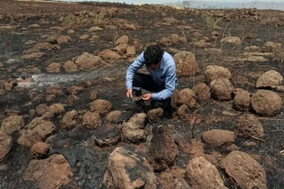 İslahiye’deki tarla yangını en büyük darbeyi çiftçiye vurdu