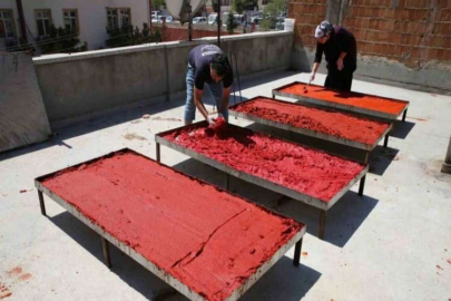 Gaziantep’te biber salçası mesaisi başladı