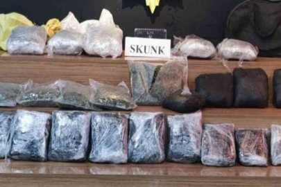 Şanlıurfa’da 15 kilo skunk ele geçirildi