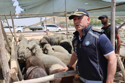 Gaziantep’te Kurban Bayramı öncesi sıkı denetimler sürüyor