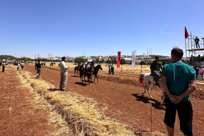 Gaziantep’te 4. Geleneksel Rahvan At Yarışları düzenlendi