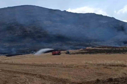 Anız yangını ormanlık alana zarar verdi