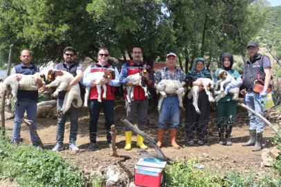 Gaziantep’teki depremzede besiciler devlet desteğiyle üretime devam ediyor