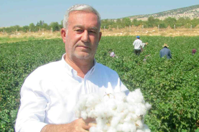 Pamuk fiyatını açıkladı