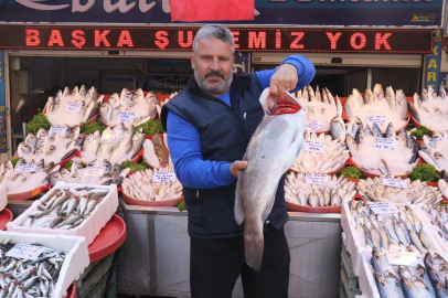 Gaziantep’te havaların serinlemesiyle balık satışları arttı