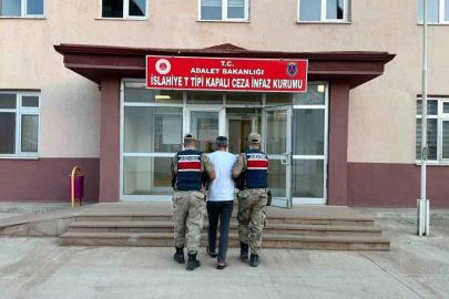 Tabanca ile 2 kişiyi yaralayan şahıs jandarma operasyonuyla yakalandı