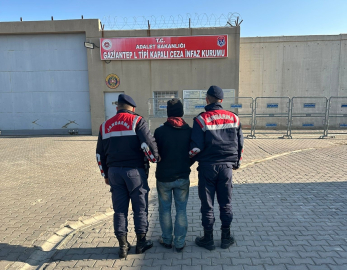 Gaziantep’te zeytin hırsızlığı şüphelisi tutuklandı