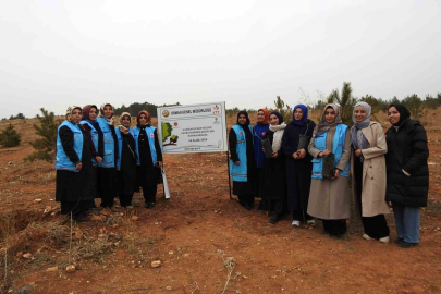 Deprem şehitleri anısına hatıra ormanı oluşturuldu