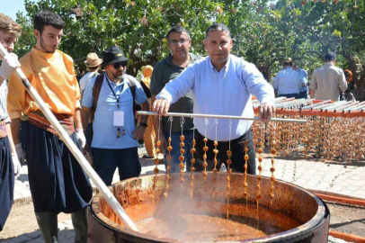 Gaziantep üzüm üretiminde 5. sırada