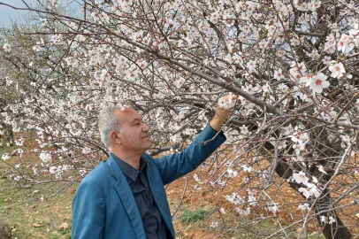 Araban’a bahar erken geldi